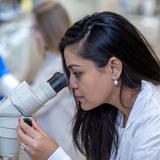 A student examines a specimen through a microscope.